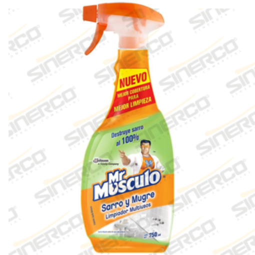 Imagen de MR MUSCULO DESTROYER 750ML ATOMIZADOR